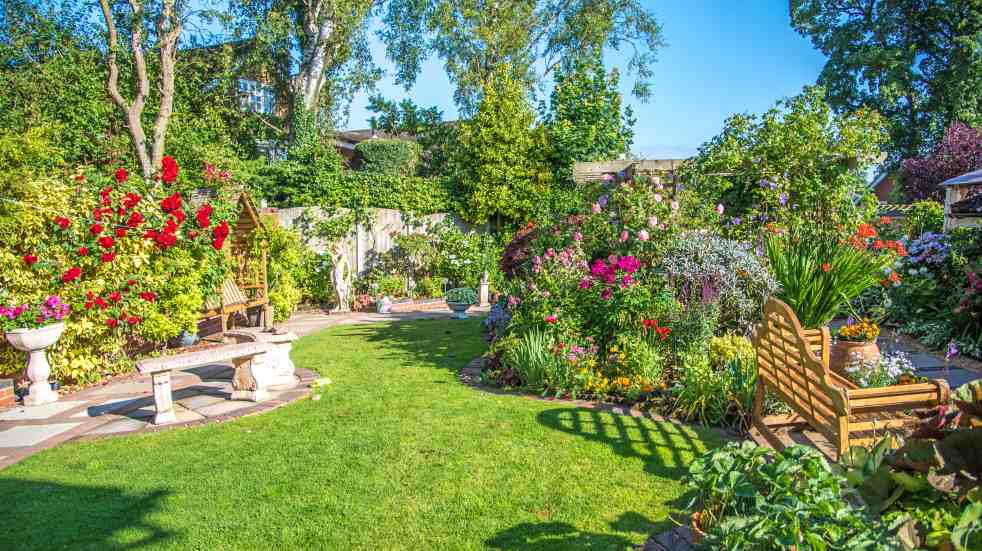 Get your garden ready for the summer beautiful garden